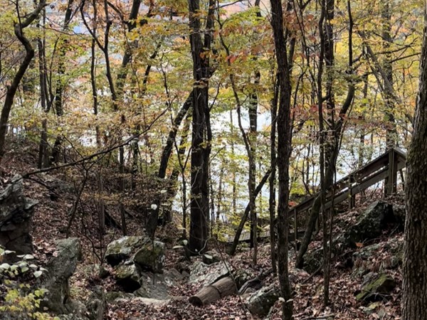 Nature at its best! A peek at Greers Ferry Lake and Barefoot Alley near Prim and Drasco