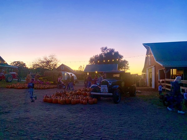 Gorgeous sunset at Fischer Farms Pumpkin Patch!!  They’ve added so much this year