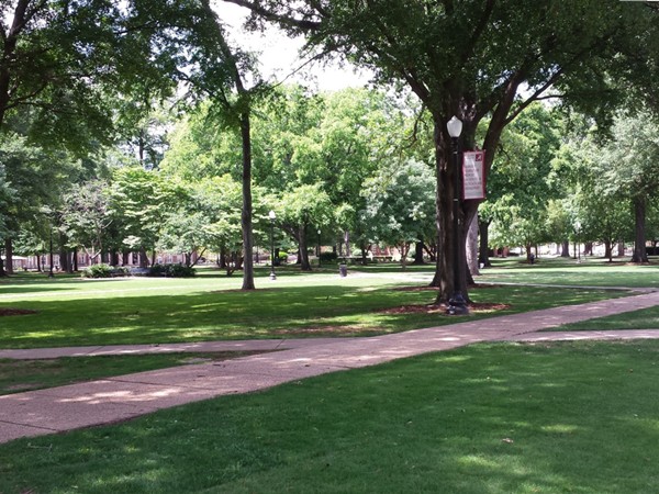The Quad at The University of Alabama