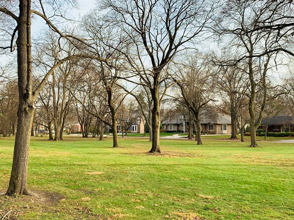 Between Maple & Park St, you'll find Hough Park, lined with gorgeous Downtown Plymouth homes