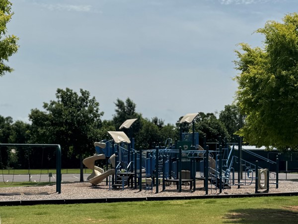Playground at Buck Thomas Park