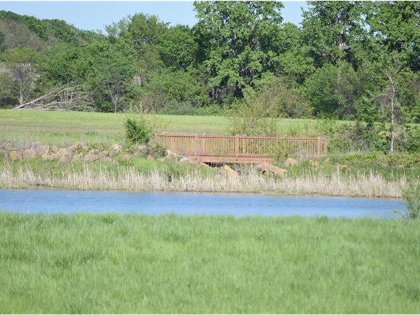 Foxberry Estates; one of three stocked ponds on 60 acres of common area, with walking trails