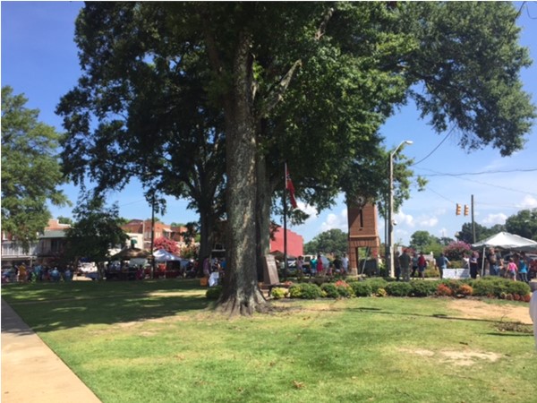 Wonderful, top rated Hernando Farmer's Market at the Courthouse Square every Saturday morning