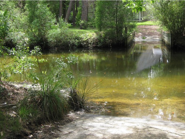 Clear water on Hammock Creek