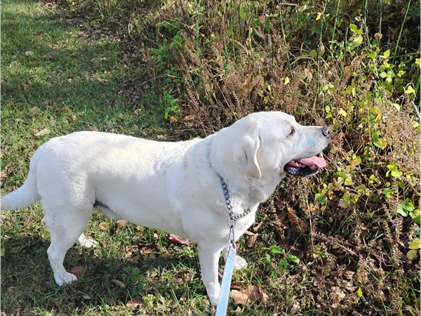 Maverick's favorite neighborhood