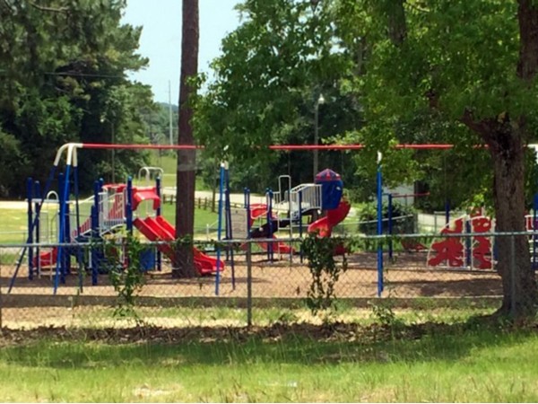 Spanish Fort Elementary School has an emmense playground that the students love to play on!