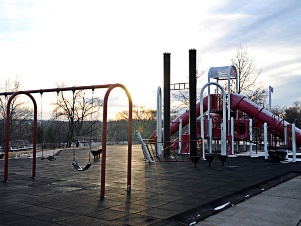 Playground equipment at Riverside Park