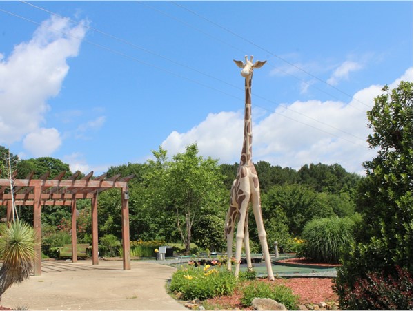 The larger-than-life Giraffe at Thomas Nursery & Feed's Pavilion is a site to behold