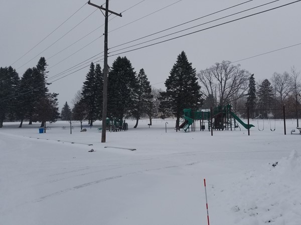 Time to play in the snow. Cross Country ski at Fowlerville's "Big Park" 