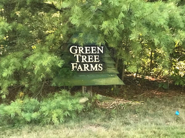 Welcome to Green Tree Farms