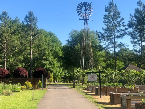 Raised garden beds and windmill at Dothan Area Botanical Gardens