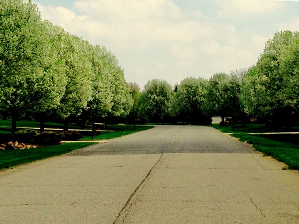 Attractive tree-lined streets in Brookview Highlands