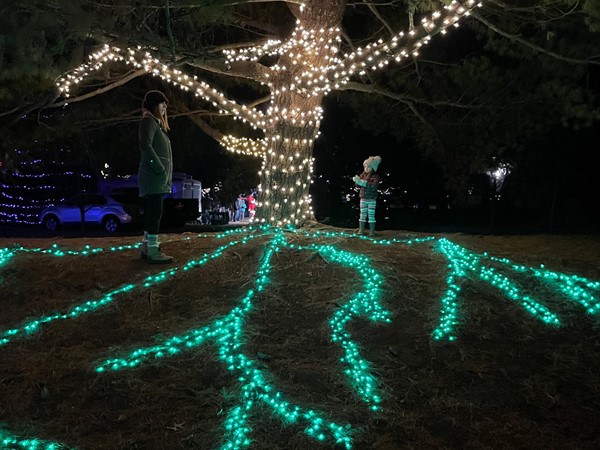 One of the lighted trees at Nathanael Greene 2021
