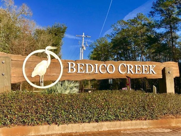 Gated preserve community of Bedico Creek