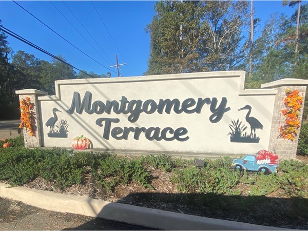 Welcome to the beautiful Montgomery Terrace