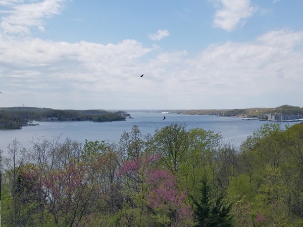 View of Lake of the Ozarks from the Ameren Lookout