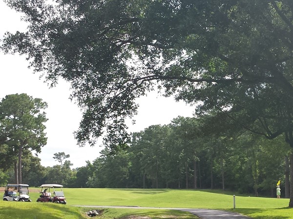 #10 Green on the Diamondhead Pine Golf Course