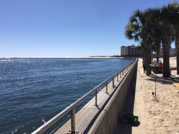 A warm February day at the Gulf 