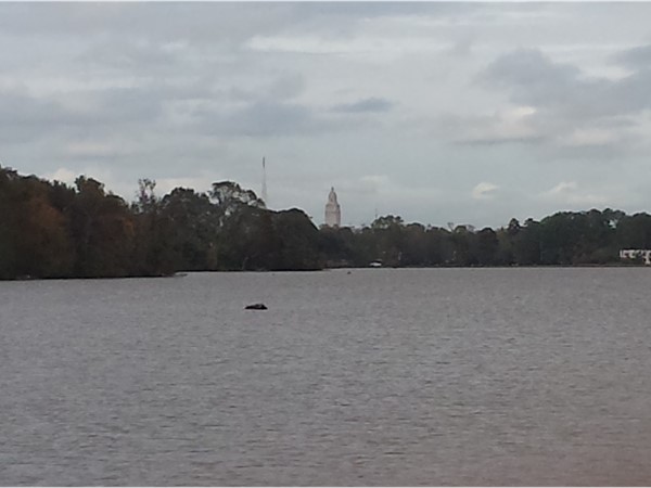 View of the Capitol from the Louisiana State University lakes
