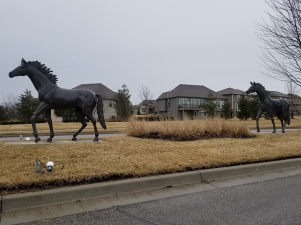 Running ponies at the front of Highland Meadows Subdivision, in Lee's Summit