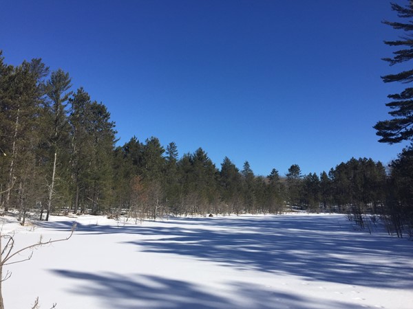 XC ski or snowshoe along Riley's loop on the Vasa trail for beautiful views of frozen lakes