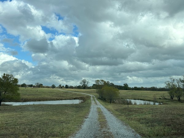 Ranch life 