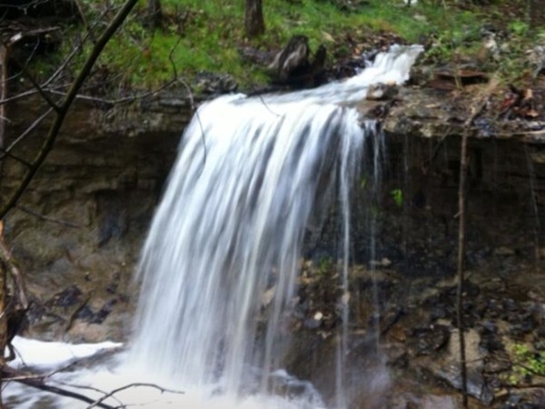 Spring waterfall in Cedar Meadows