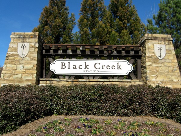 Black Creek Station