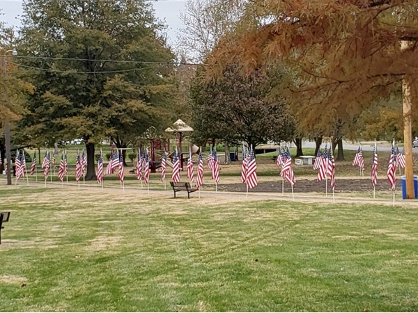 American Flags for Veterans Day Celebration 