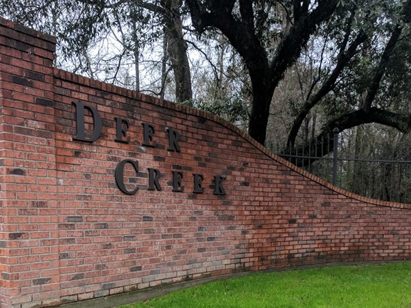 Deer Creek is located between Springfield and Ponchatoula