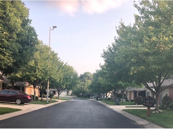The clean and tree-studded neighborhood of Sterling-Replat of