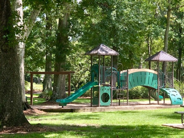 A perfect tree shaded spot in CCL for your kids or grand kids