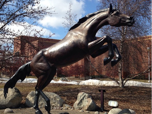 WMU Bronco statue in front of the fieldhouse. 
