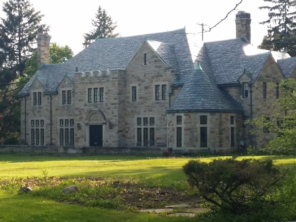  Castle-like mansion in Woodcroft Estates