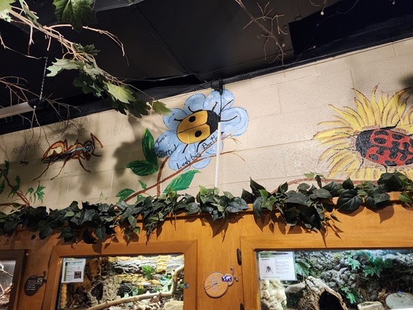 Art at the Topeka Zoo