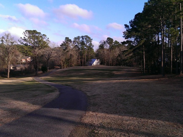 Another beautiful golf hole #6