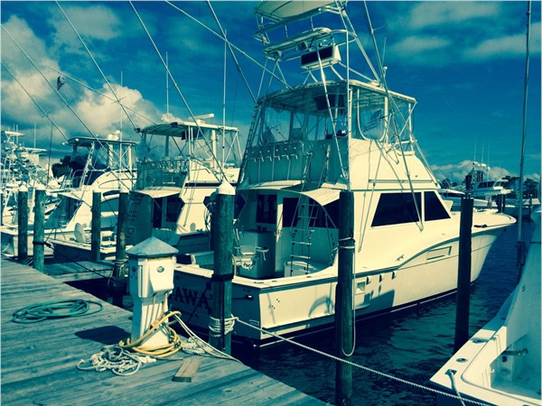 Looking for great fishing? Look no further than Getaway Charters at Sportsmans Marina!