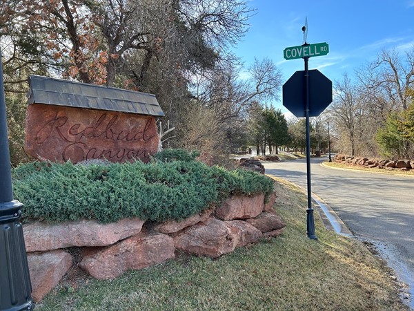 Redbud Canyon has so much to offer. A gated community with large lots and tastefully landscaped