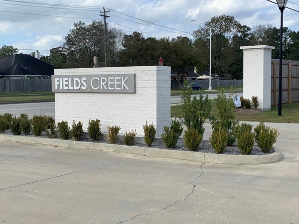 Fields Creek is a new development located off of Jones Creek Rd. near Coursey Blvd.