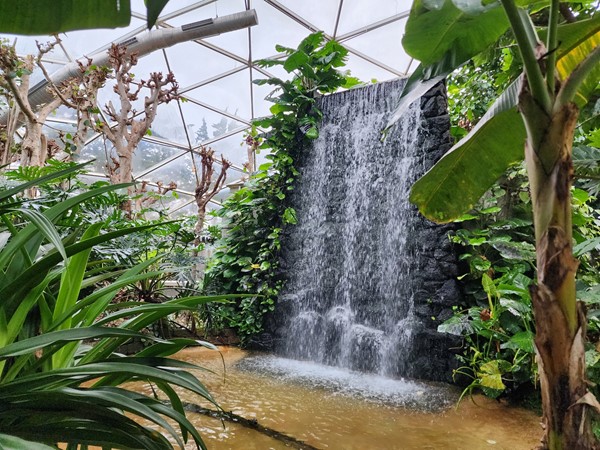 Waterfall in the Tropical Rainforest Dome at the Topeka Zoo
