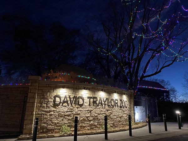 The David Traylor Zoo with Christmas lights lit up
