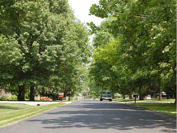Beautiful tree lined streets in upscale Walnut Hills