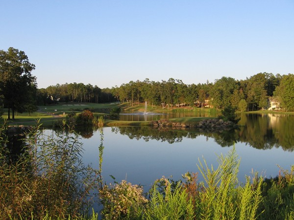 Beautiful golf courses in the Village