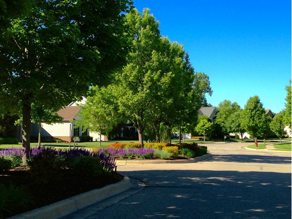 Admire the colorful, well-maintained landscaping when entering the community
