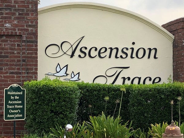 Ascension Trace located off of Hwy 22 in Darrow 