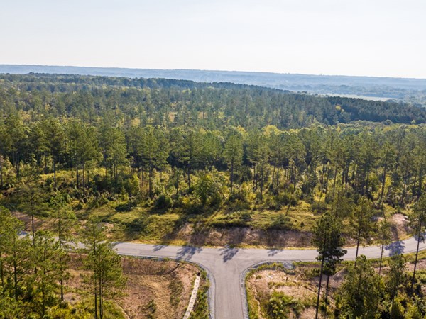 Phase 1 Canyon Creek Village in Benton, AR has estate sized lots with county living