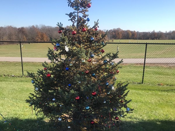 Kearney is getting ready for the Mayors Christmas Tree Walk. Saturday, November 18