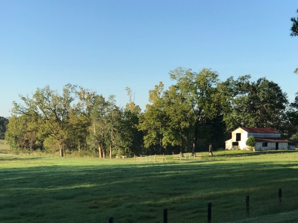 Beautiful countryside in Montevallo