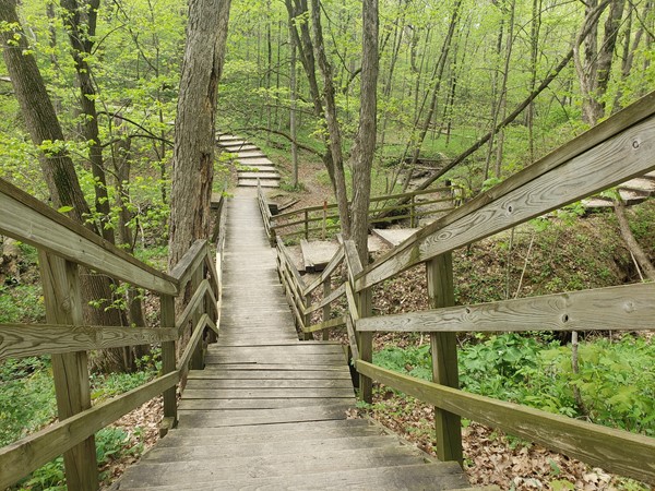 Enjoy the fresh air and everything turning green at Hartman Reserve in Cedar Falls