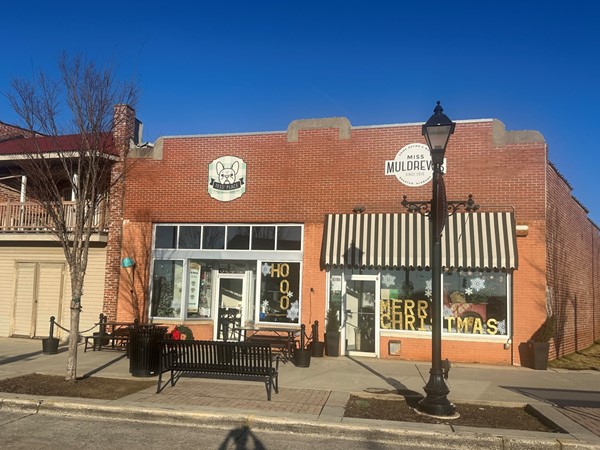My favorite local ice cream shop located downtown 